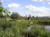View across the lake