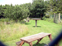 A picnic bench by the lake